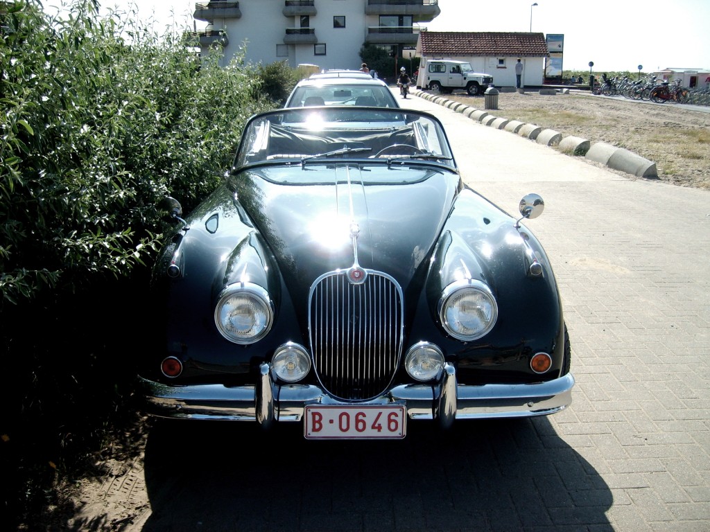 S5002376