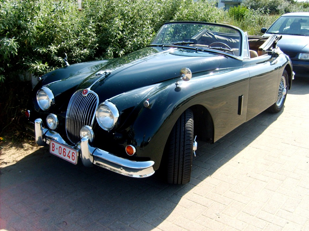 S5002388