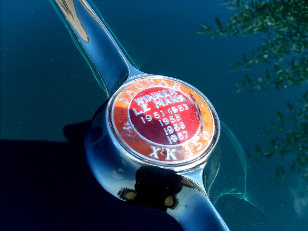 S5002390