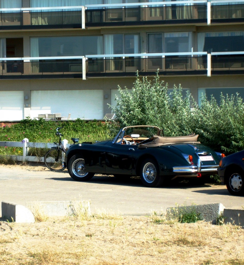 S5002397