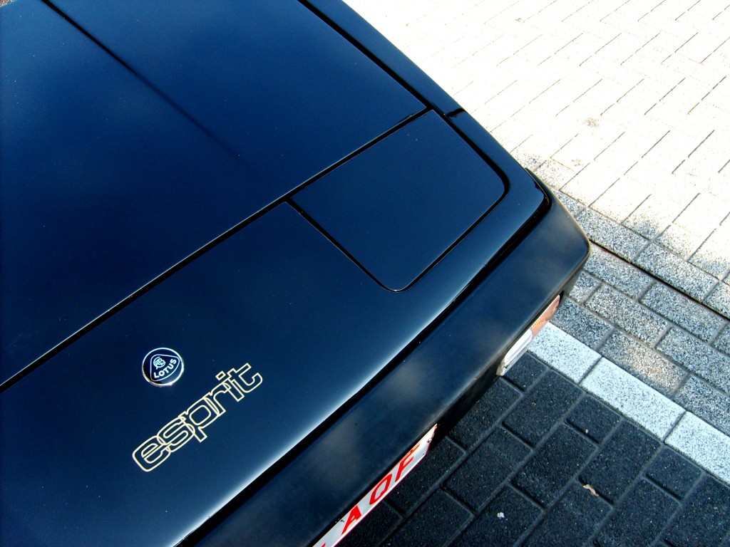 S5002583