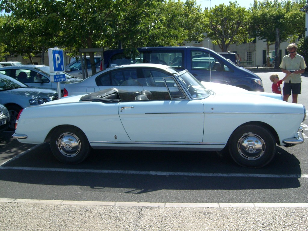 Kopie van arpaya 249