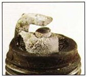 SparkPlug-Deposits