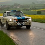 IMG_3950 IMG_3950