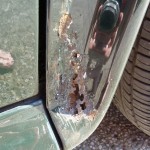 P1050038 P1050038