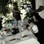 Vendemmia 2010